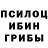 Псилоцибиновые грибы мухоморы Adely Kibraeva