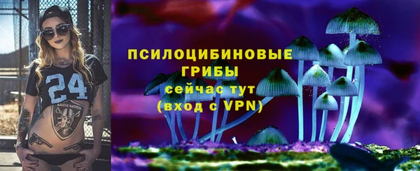 спиды Володарск