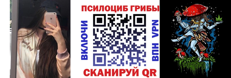 Псилоцибиновые грибы Cubensis  Лосино-Петровский 